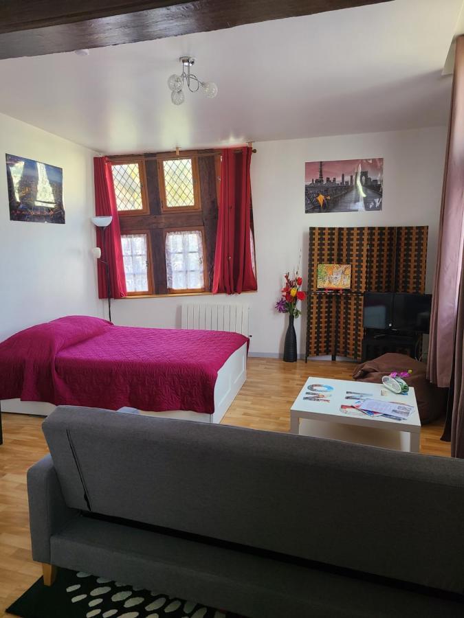 Appartement Du Vieux Troyes Luaran gambar