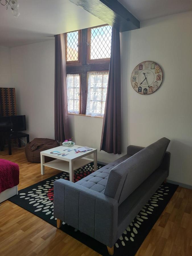 Appartement Du Vieux Troyes Luaran gambar