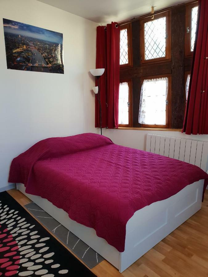 Appartement Du Vieux Troyes Luaran gambar